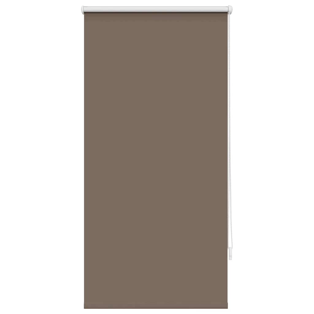 Vidaxl rouleau aveugle occlusion 60 x 120 cm café