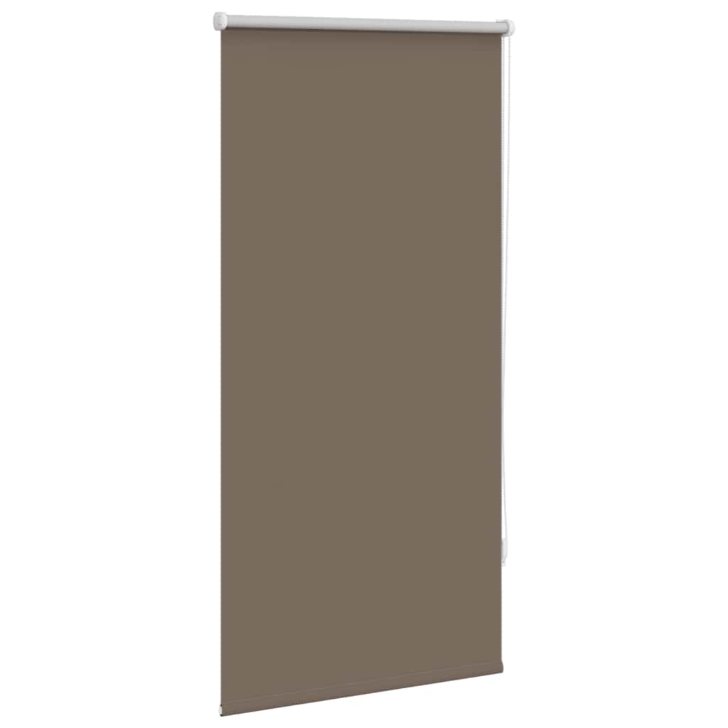 Vidaxl rouleau aveugle occlusion 60 x 120 cm café