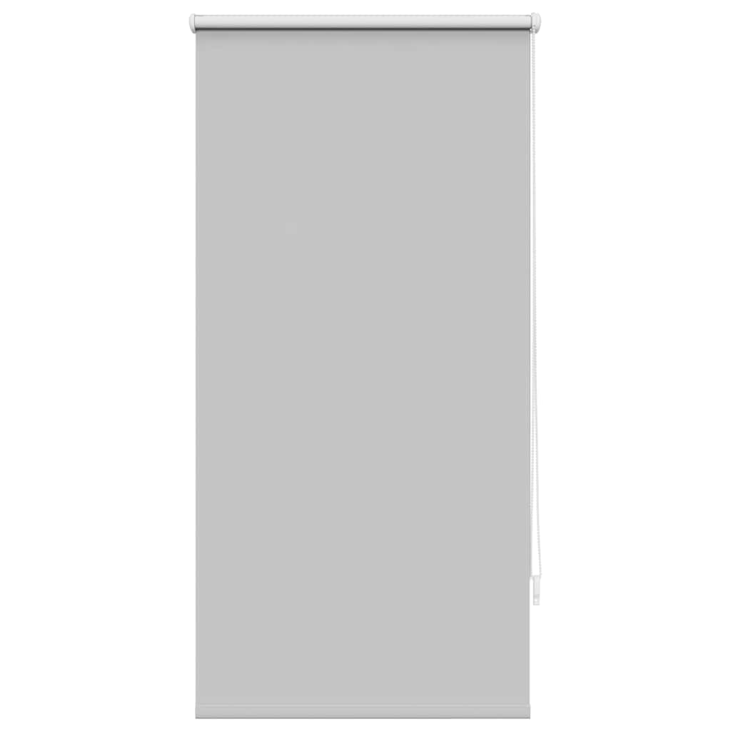 Vidaxl Roller aveugle accablant 60 x 120 cm gris