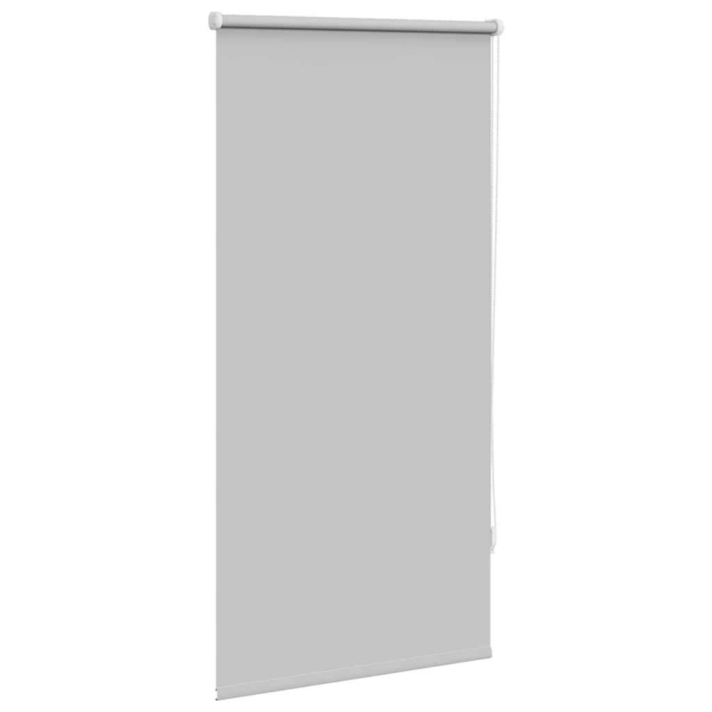 Vidaxl Roller aveugle accablant 60 x 120 cm gris