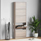 Vidaxl Shoe Cabinet Wood avec 5 compartiments de rangement Look Oak