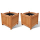 Les planteurs Vidaxl ont relevé 2 PCS 30x30x30 cm en bois
