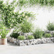 Vidaxl Gabion Planning Box 120x120x20 cm en acier galvanisé