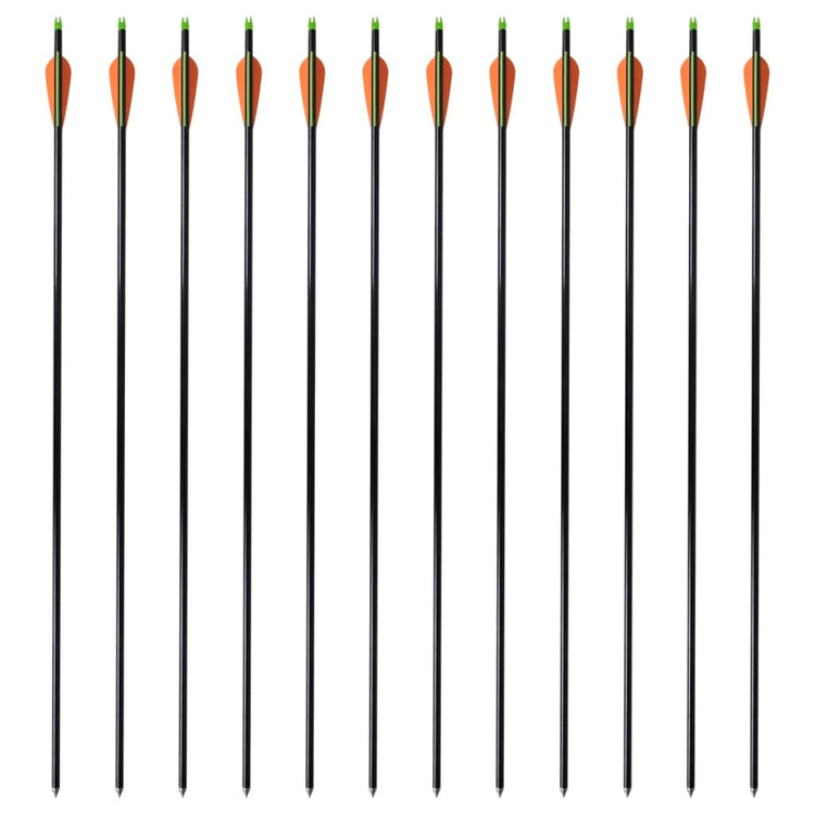 Vidaxl Arrows Compound Arch Standard 30 0,8 cm Fiber Optic 12 pièces