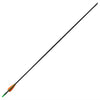 Norme Vidaxl Recurveboog avec des flèches 30 0,6 cm Fiber Optic 12 pièces