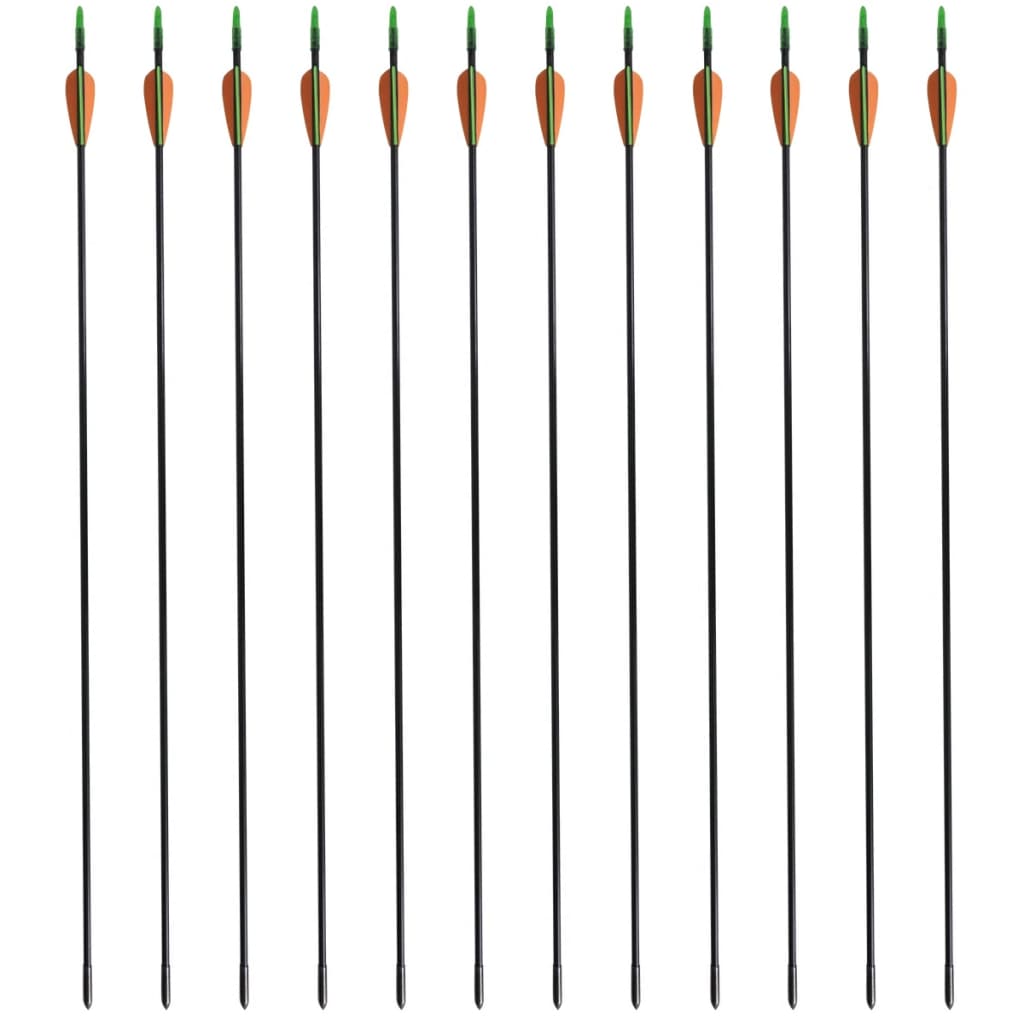 Norme Vidaxl Recurveboog avec des flèches 30 0,6 cm Fiber Optic 12 pièces