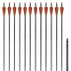 Arrows Vidaxl pour la norme de réapprovisionnement 30 0,76 cm de carbone 12 pièces