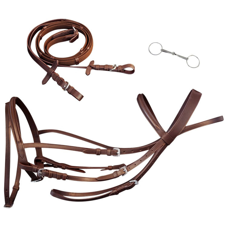 Cuir de bride vidaxl avec coulée de dix combinée, rênes et épi marron un peu