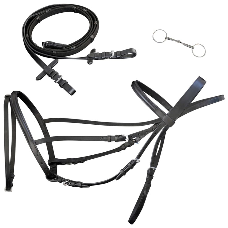 Vidaxl Cuir de bride avec une coulée de dix combinée, des rênes et un poney noir