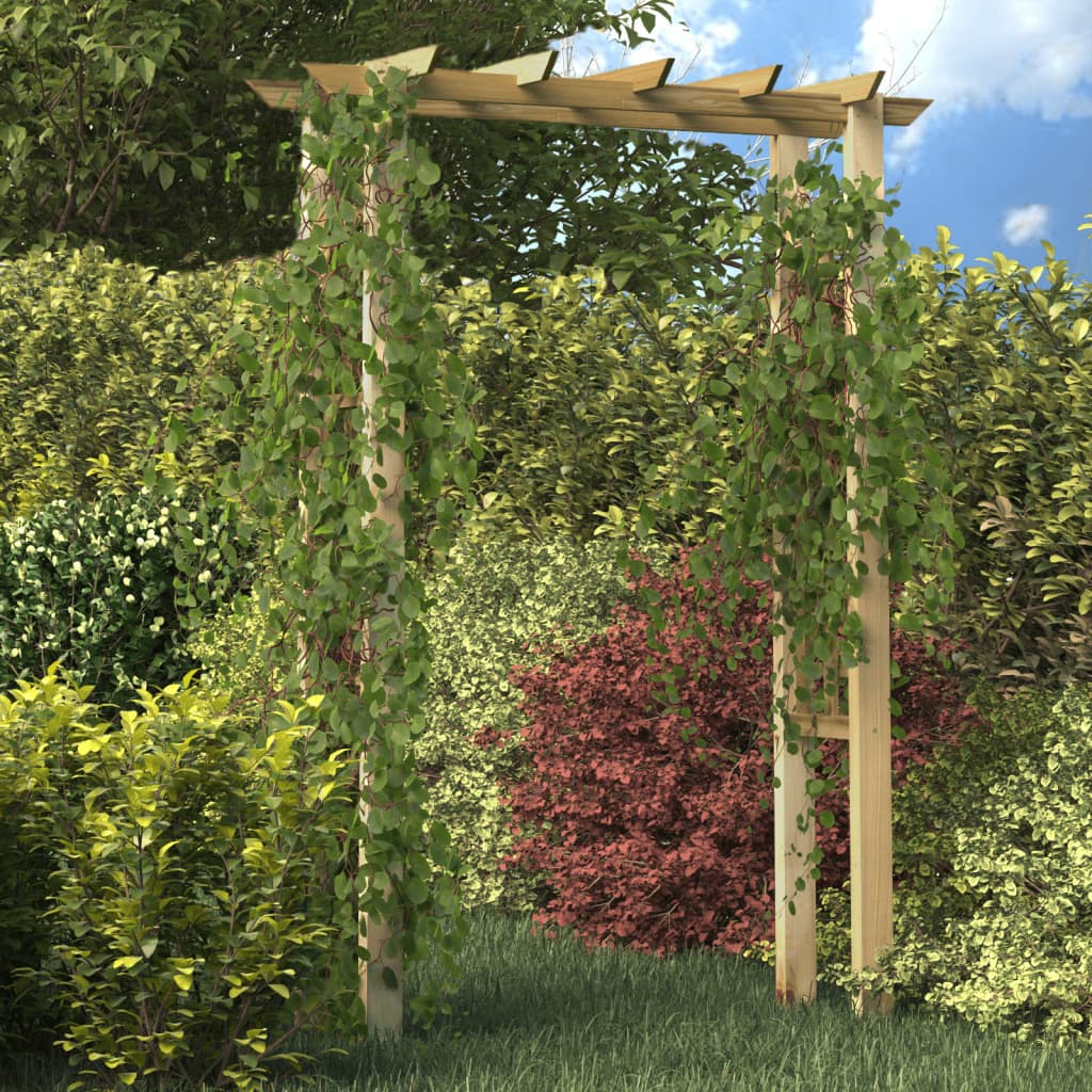 Vidaxl Rozenbog 150x60x204 cm Bois imprégné
