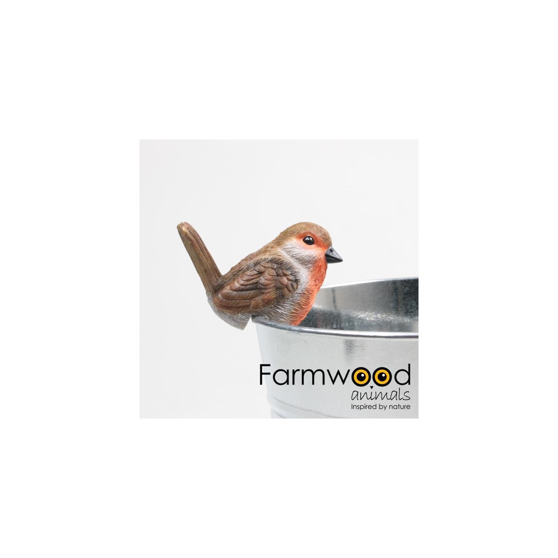 Animaux de ferme pot cintre oiseau merle