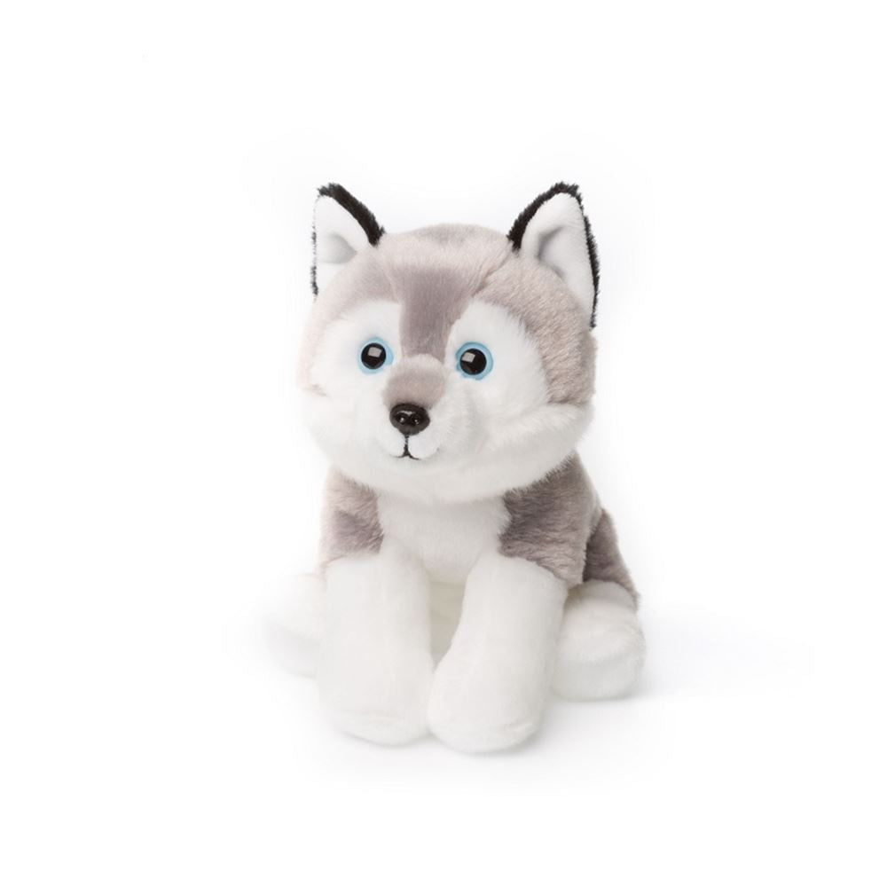 Acp husky assis 15 cm