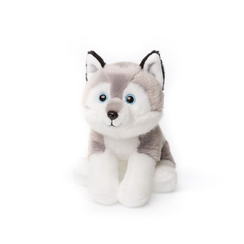 Acp husky assis 15 cm