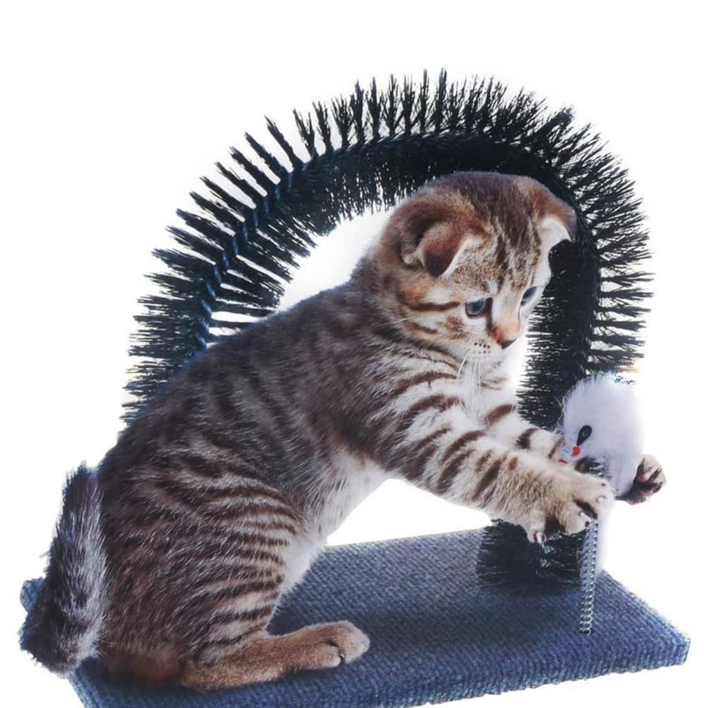 Collection d'animaux de compagnie Collection pour animaux