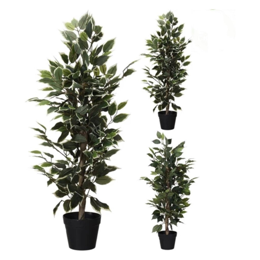 Autres marques plante artificielle ficus 95 cm vert blanc