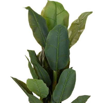 Autres marques plante artificielle bananier 80x165 cm vert
