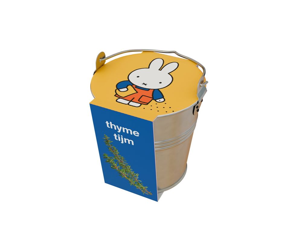 Herbes Miffy dans un seau de thym en zinc