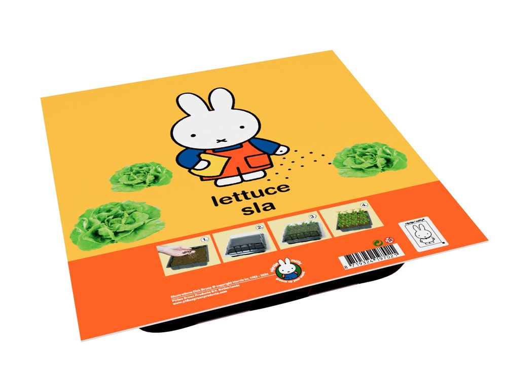 Laitue en kit de culture d'herbes Miffy.