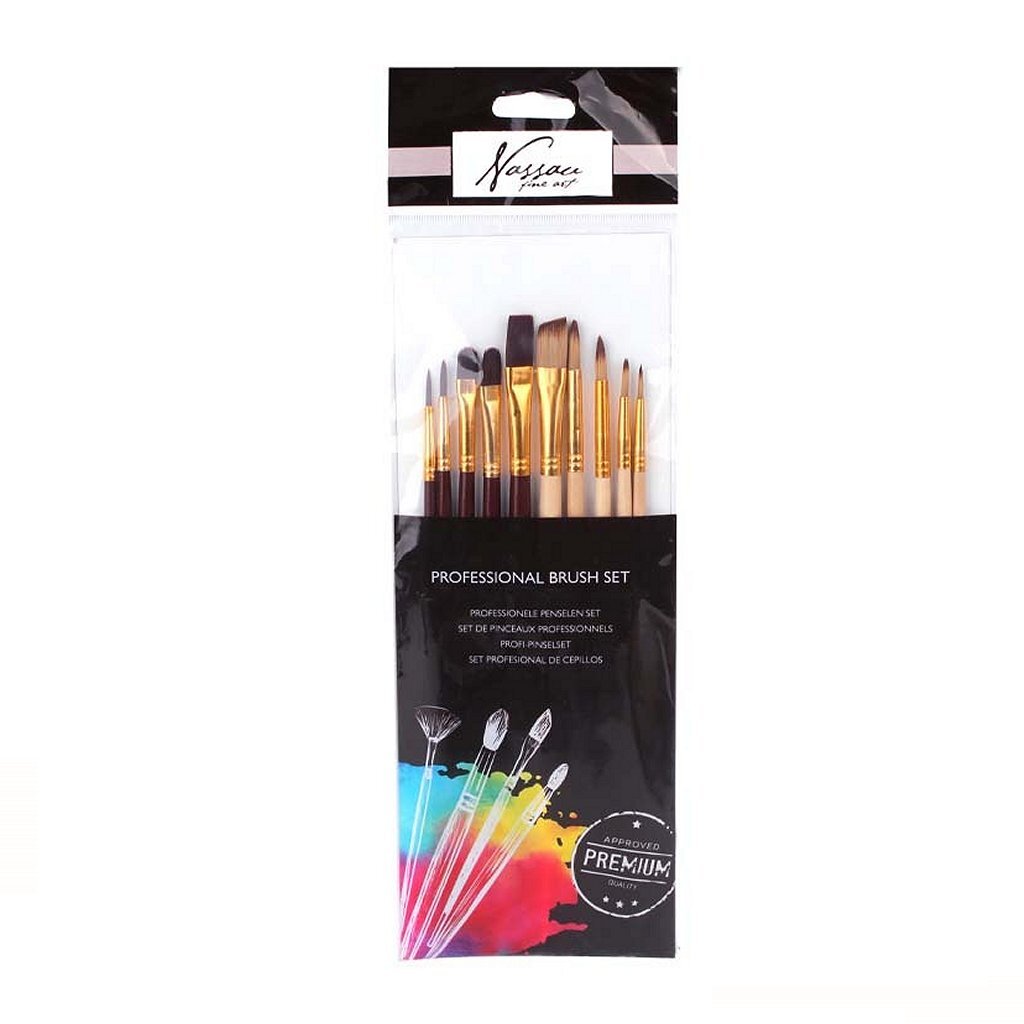 Nassau Nassau Brushes professionnels 10 pièces