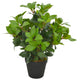 Vidaxl Plant artificiel avec laurier en pot 40 cm vert