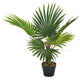 Vidaxl Plante artificielle avec pot de paume à 70 cm vert