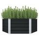 Vidaxl Planter surélevé 129x129x45 cm anthracite en acier galvanisé