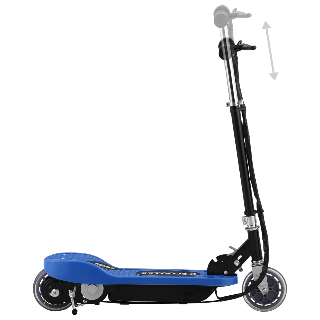 Vidaxl Step Electric 120 W Bleu
