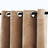 Vidaxl rideau noir avec anneaux 2 st 140x175 cm velours beige