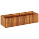 Vidaxl Planter élevé 100x30x25 cm