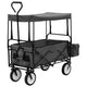 Vidaxl Handkar pliable avec Luifel en acier gris