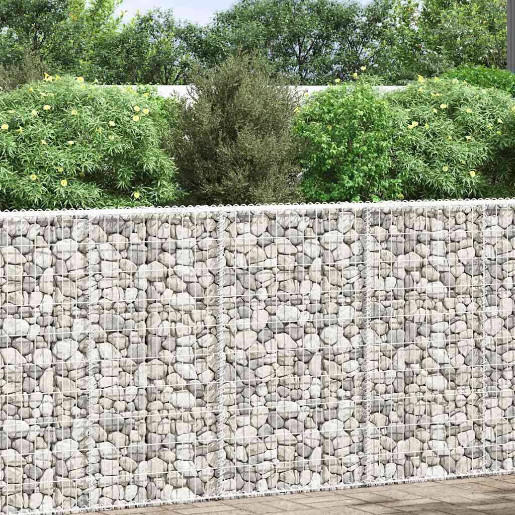 Vidaxl Gabion Planification trapézoïde de Buck 100x20x100 cm en acier galvanisé