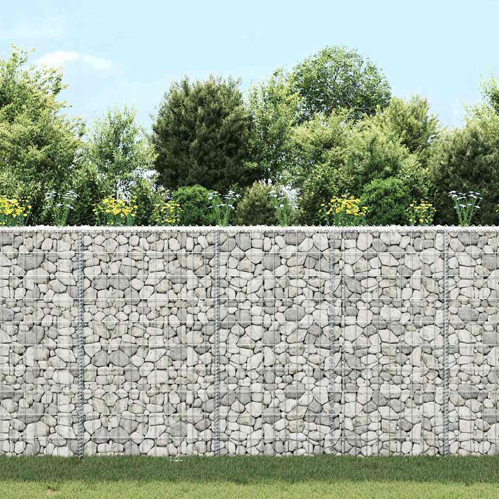 Vidaxl Gabion Planification trapézoïde de Buck 100x20x100 cm en acier galvanisé