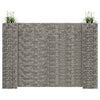 Vidaxl Gabion Planter en H 260x40x200 cm Fil en acier