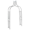 Vidaxl Garden Arch 120x38x258 cm en fer vert