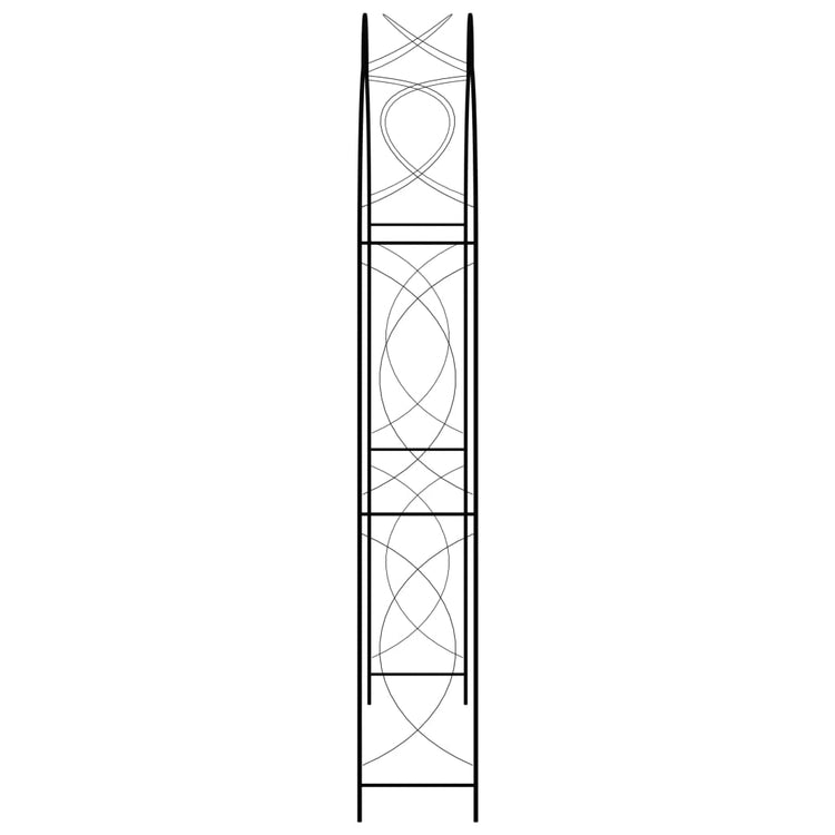 Vidaxl jardin arc 150x34x240 cm de fer noir