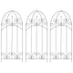 Racks d'escalade de plante vidaxl 3 ST 40x100 cm de fer noir