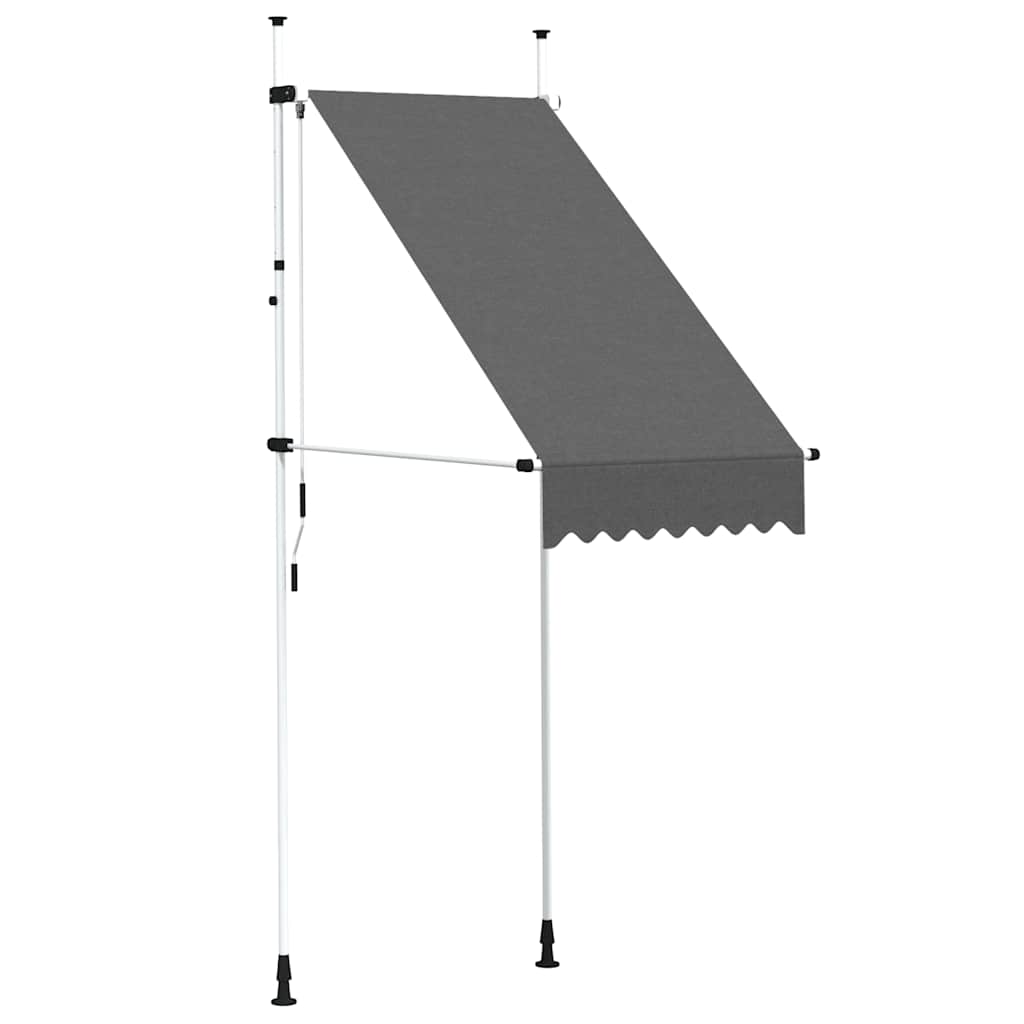 Vidaxl luifel extensible manuellement 100 cm anthracite