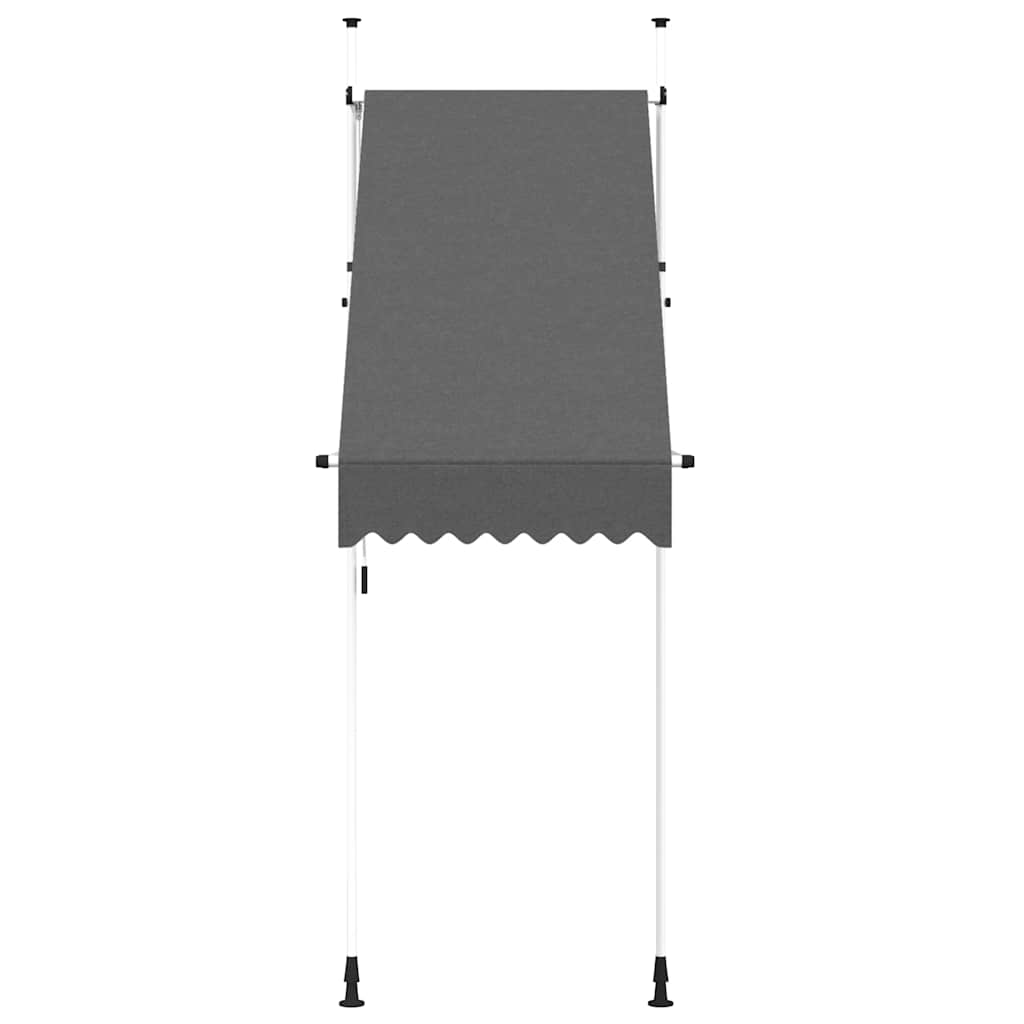 Vidaxl luifel extensible manuellement 100 cm anthracite