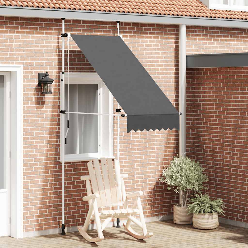 Vidaxl luifel extensible manuellement 100 cm anthracite