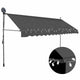 Vidaxl Luifel extensible manuellement avec une LED 350 cm anthracite -colored