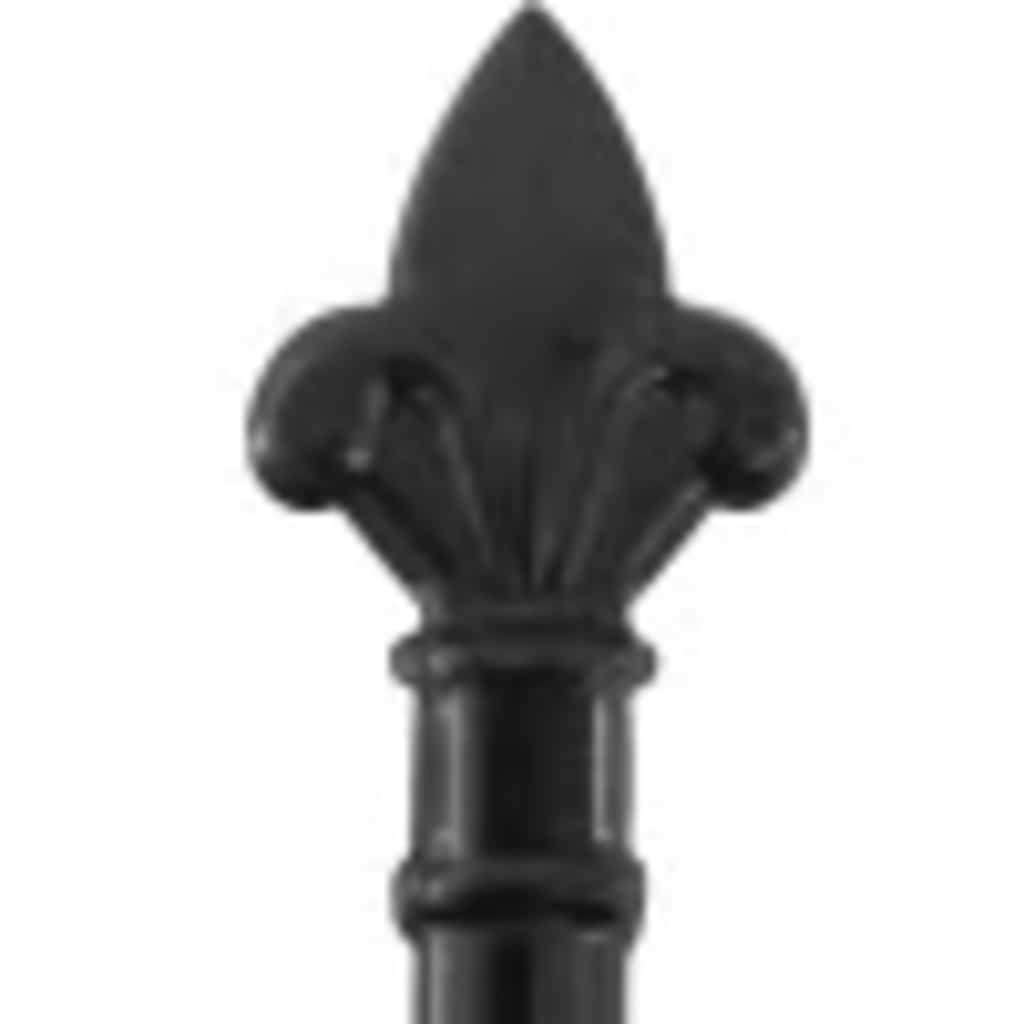 Port vidaxl avec top pointu double 3x1,5 m en acier noir