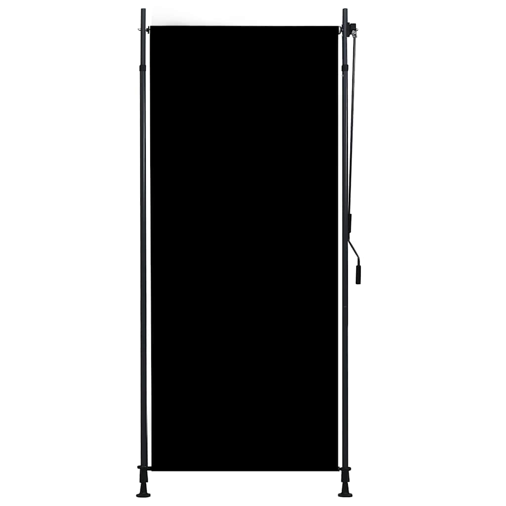 Vidaxl Rouleau aveugle pour l'extérieur de 100x270 cm anthracite