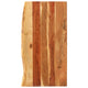 Vidaxl Washbasin Blad 100x52x2,5 cm ACACIAHOUIL SOLIDE