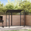 Vidaxl Barbecue Pavilion 215x150x220 cm Anthracite en acier