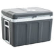 Vidaxl Cool Box portable thermoélectrique 12 V 230 V E 40 L