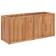 Vidaxl Planter surélevé de 150x50x70 cm