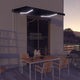 Vidaxl luifel extensible manuellement avec LED 350x250 cm anthracite