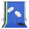 Ensemble de studio photo Vidaxl avec arrière-plans, lampes et parapluies