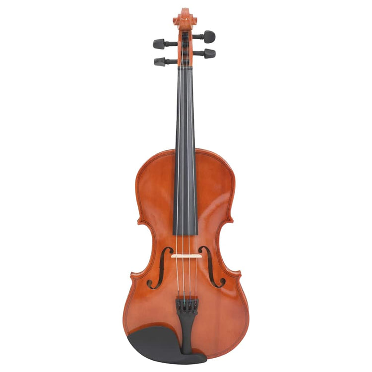 Ensemble de violon Vidaxl avec un arc et un kinstun 4 4 bois noir