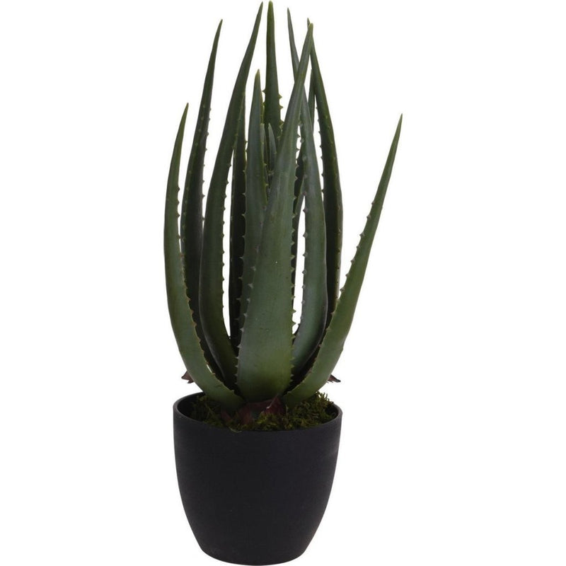 Progarden plante artificielle de progarden dans le pot aloe vera 25x45 cm